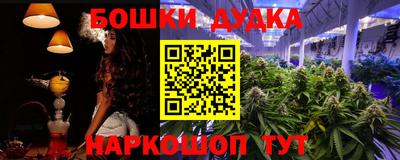 шишки Будённовск