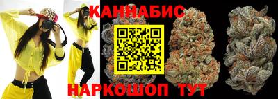 шишки Будённовск