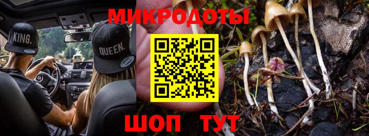 Полевской  Галлюциногенные грибы мицелий  Галлюциногенные грибы Psilocybe  Вход с VPN 